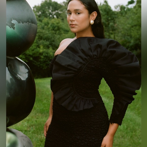 Like new MARA HOFFMAN Evelyn Dress $895 - Picture 5 of 13